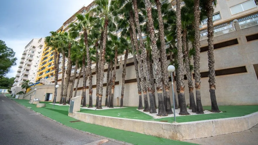 2 bedrooms penthouse for sale, Dehesa De Campoamor, Spain No. 1074 № 28