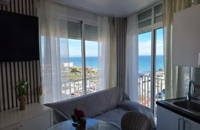 33m² apartment for sale, Torrevieja, Spain No. 2126