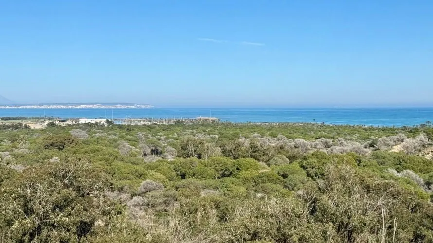 3 bedrooms apartment for sale, Guardamar del Segura, Spain No. 1007 № 5