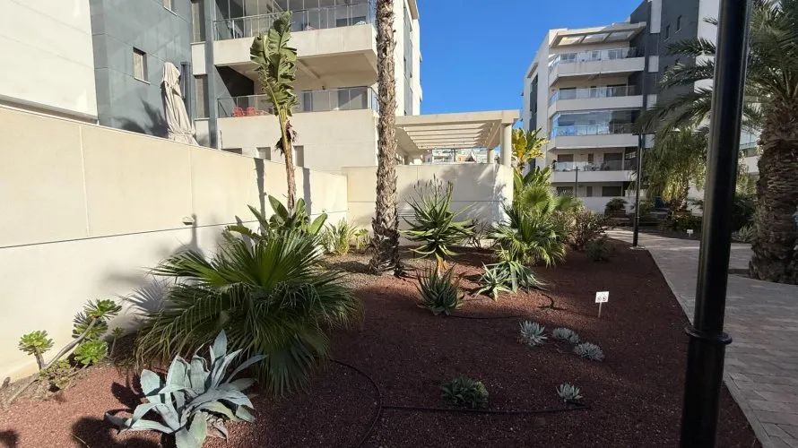 3 bedrooms apartment for sale, Los Dolses, Spain No. 1202 № 4