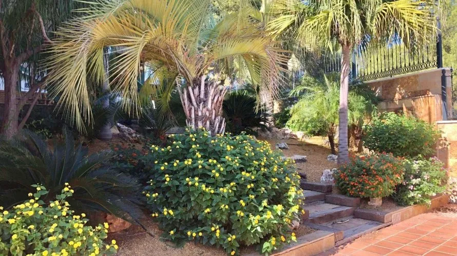 6 bedrooms villa for sale, El Palmar, Spain No. 1217 № 8