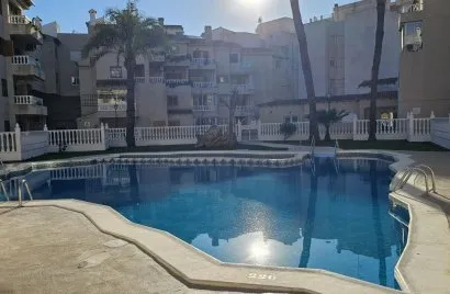 1 bedroom apartment for sale, Torrevieja, Spain No. 2039