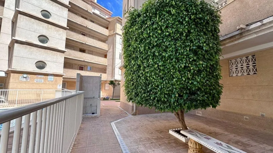 2 bedrooms apartment for sale, Torrevieja, Spain No. 1438