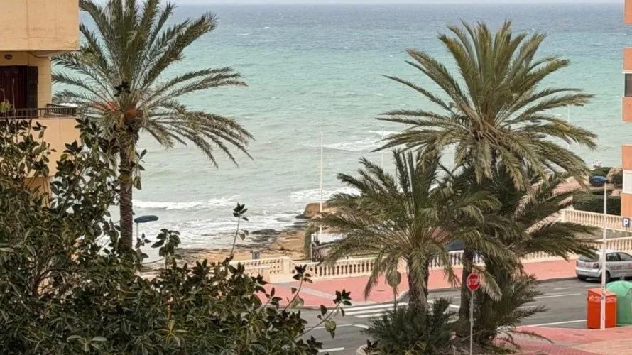 1 bedroom apartment for sale, Torrevieja, Spain No. 2133 № 7