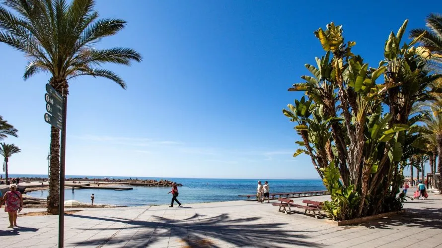 24m² apartment for sale, Torrevieja, Spain No. 2577 № 4