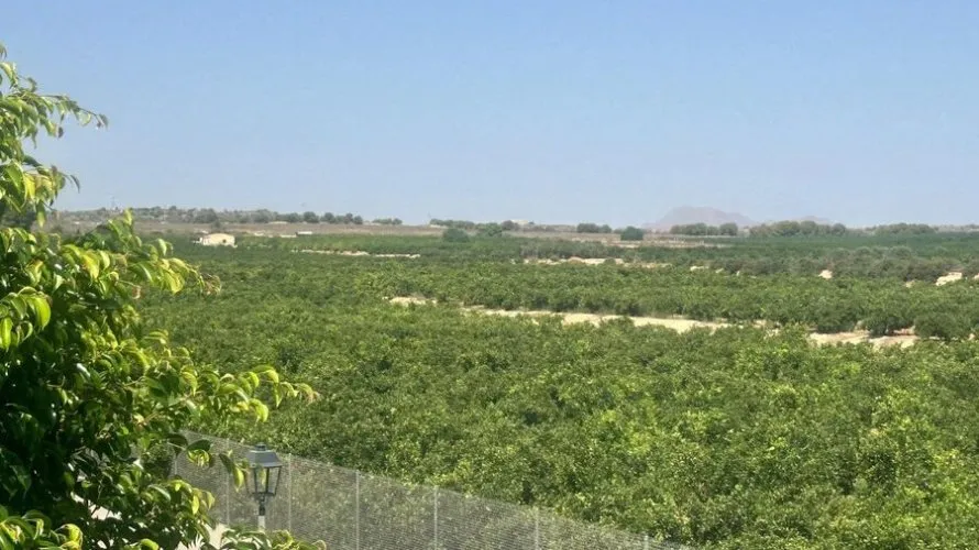 Villa for sale, Algorfa, Spain No. 2518 № 1