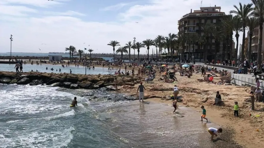 1 bedroom apartment for sale, Torrevieja, Spain No. 2492 № 2