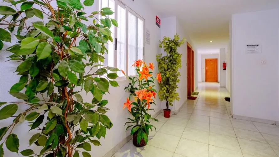 1 bedroom apartment for sale, Torrevieja, Spain No. 2882 № 8